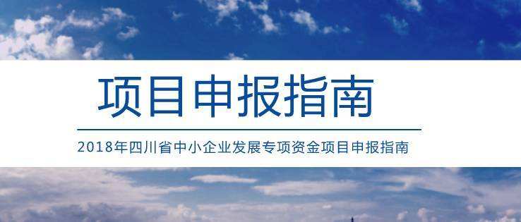 做軟件系統方面的項目申報