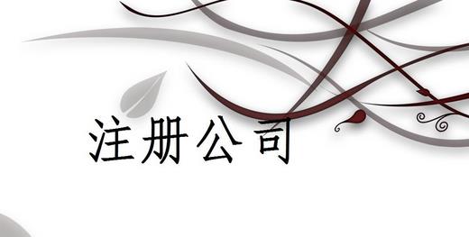 成都公司怎么注冊(cè)